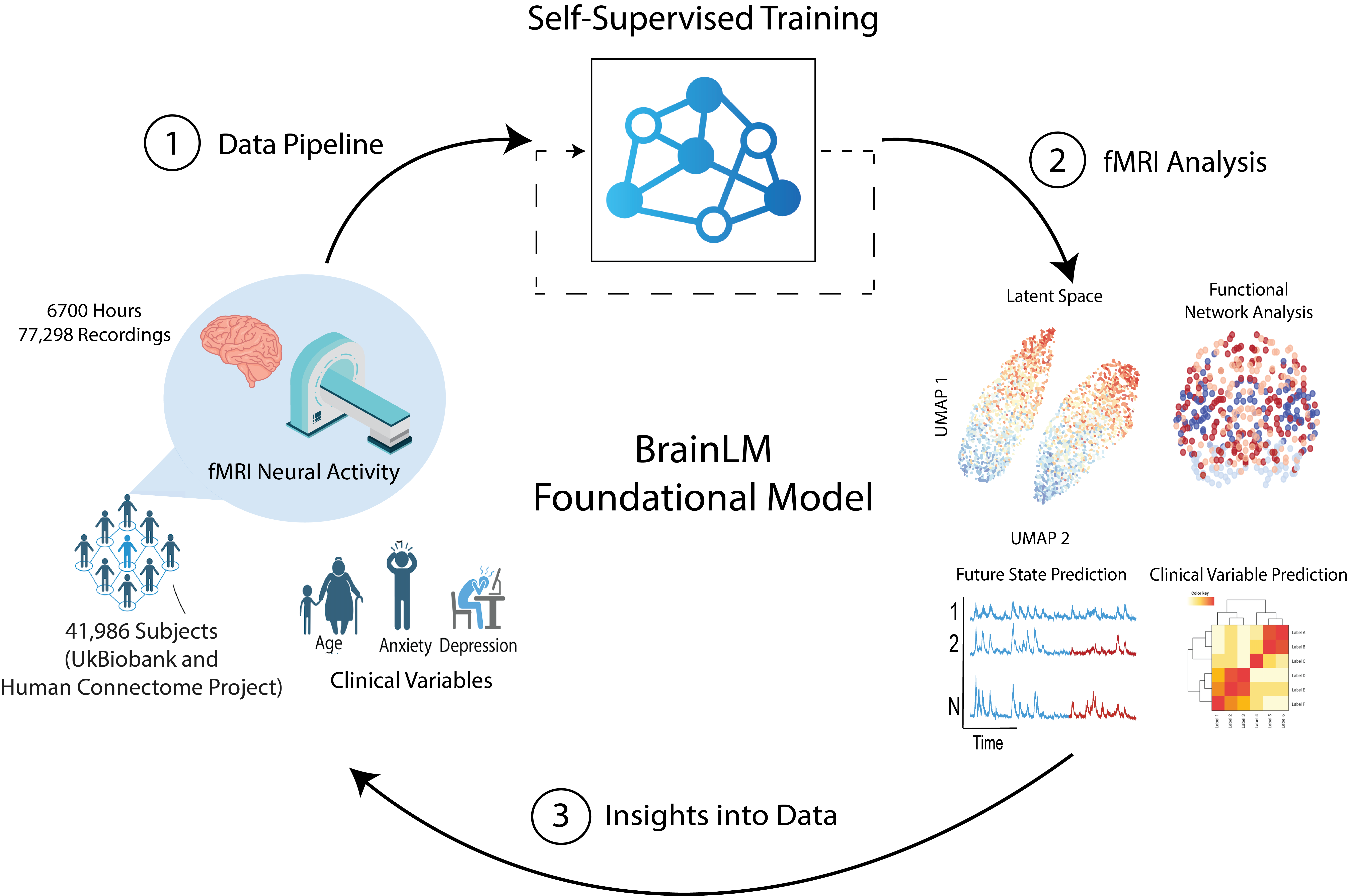 Figure 1: BrainLM Overview