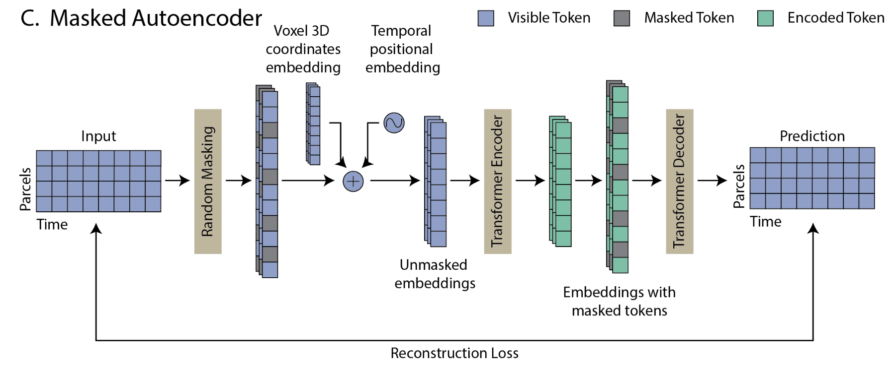 Model Architecture